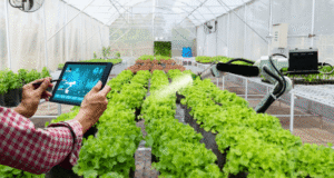 How Technology Is Improving Smart Farming Practices